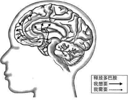 安徽得潤電氣 成套高低壓開關(guān)柜 廠家 報價 電話：400-0551-777 qq：3176885416